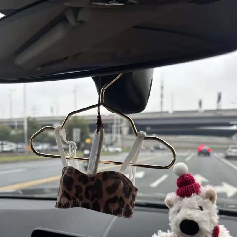 Mini Lingerie Car Ornament, Cu - Interior Design Years avis et prix